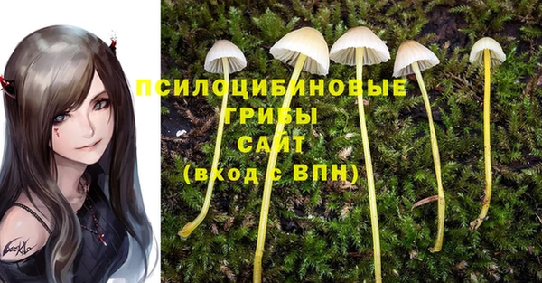 герыч Абаза