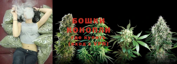 шишки Алексеевка